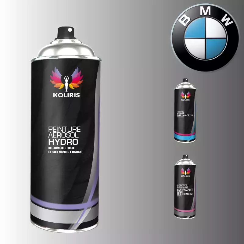 Pack 3 aérosols peinture voiture hydro Bmw 400ml