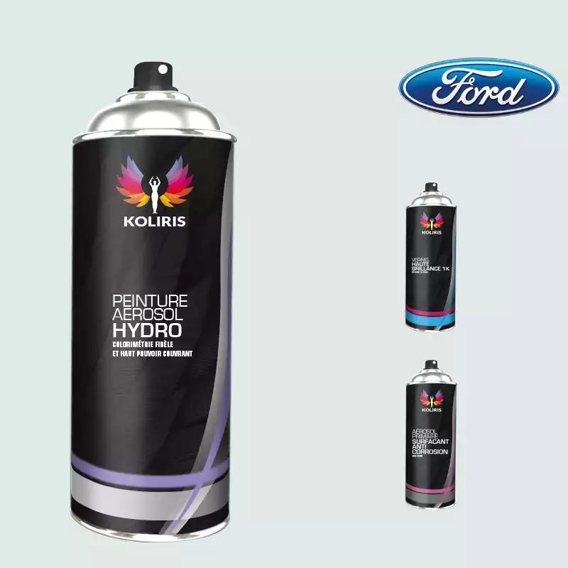 Pack 3 aérosols peinture voiture hydro Ford 400ml