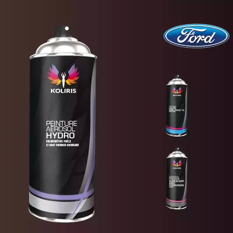 Pack 3 aérosols peinture voiture hydro Ford 400ml