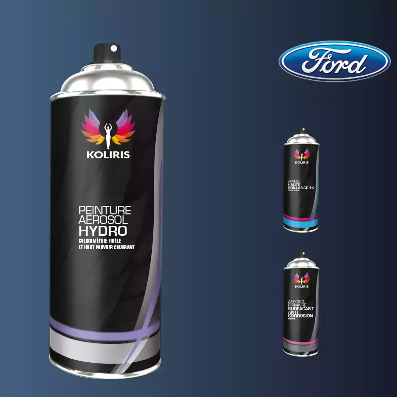 Pack 3 aérosols peinture voiture hydro Ford 400ml