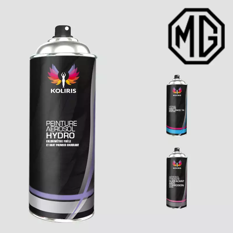 Pack 3 aérosols peinture voiture hydro Mg 400ml