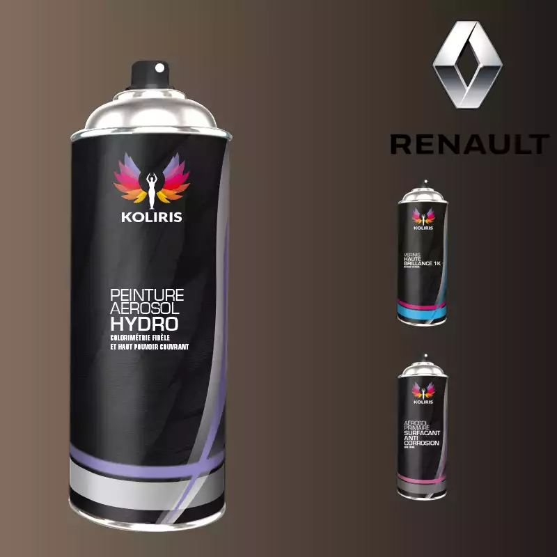 Pack 3 aérosols peinture voiture hydro Renault 400ml