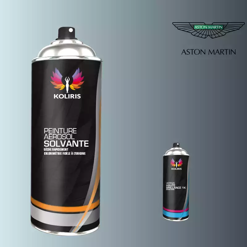 Pack 2 aérosols peinture voiture solvant Aston Martin 400ml 