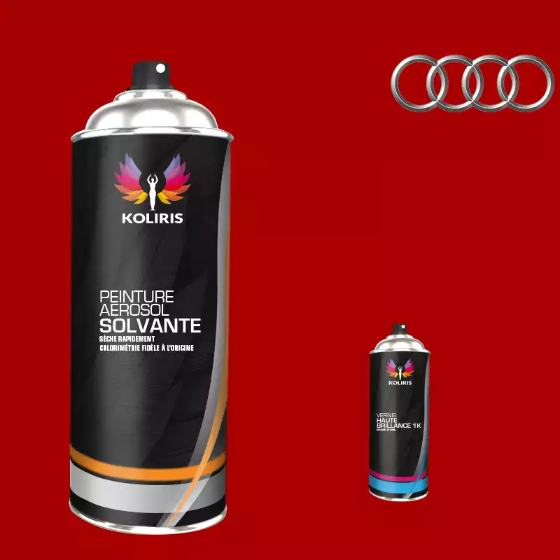 Pack 2 aérosols peinture voiture solvant Audi 400ml