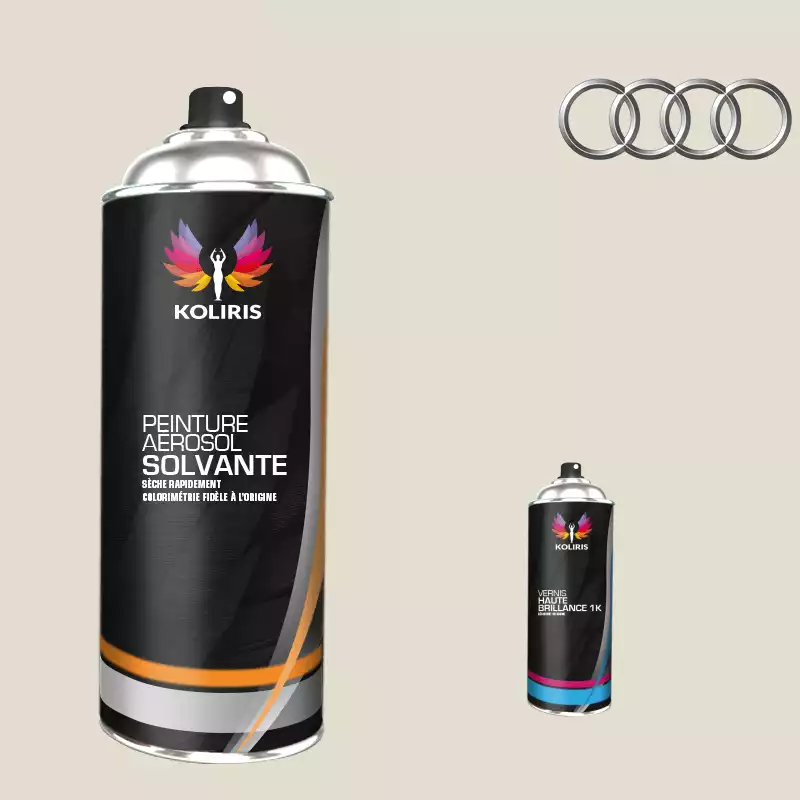 Pack 2 aérosols peinture voiture solvant Audi 400ml
