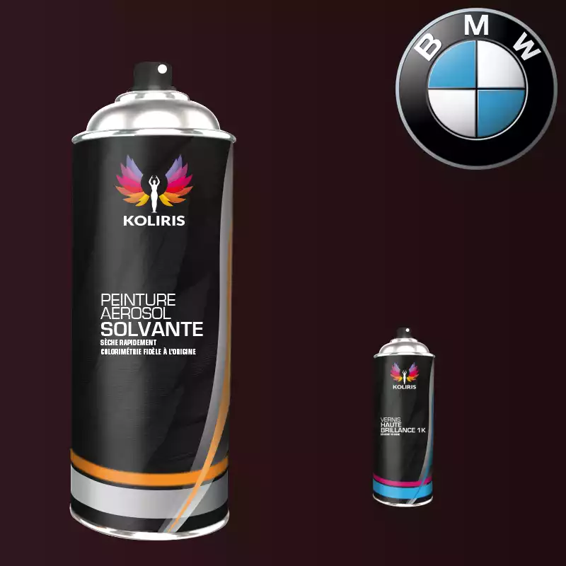 Pack 2 aérosols peinture voiture solvant Bmw 400ml