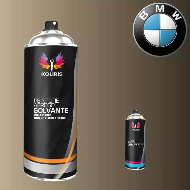 Pack 2 aérosols peinture voiture solvant Bmw 400ml