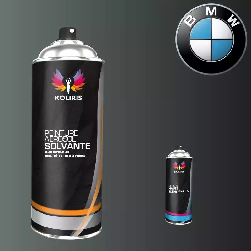 Pack 2 aérosols peinture voiture solvant Bmw 400ml
