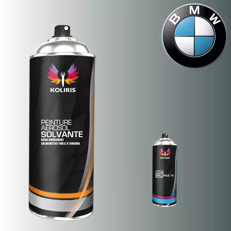 Pack 2 aérosols peinture voiture solvant Bmw 400ml
