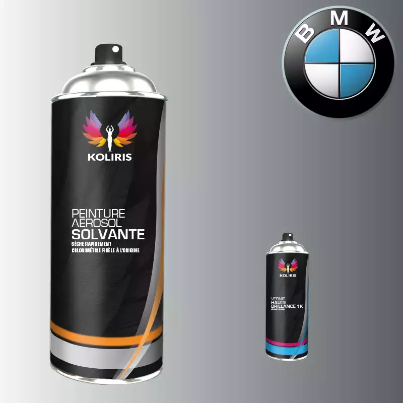 Pack 2 aérosols peinture voiture solvant Bmw 400ml