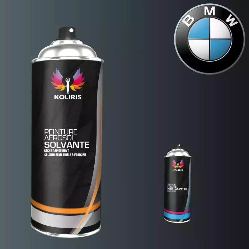 Pack 2 aérosols peinture voiture solvant Bmw 400ml
