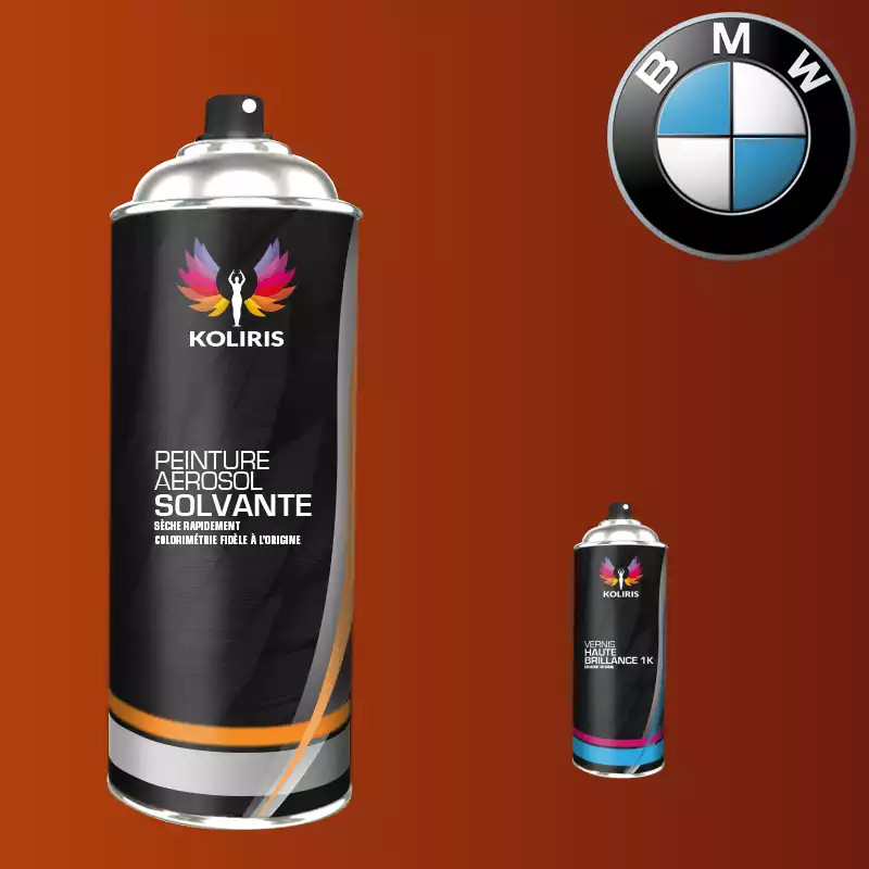 Pack 2 aérosols peinture voiture solvant Bmw 400ml