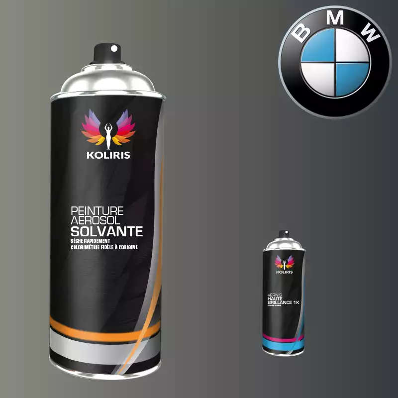 Pack 2 aérosols peinture voiture solvant Bmw 400ml