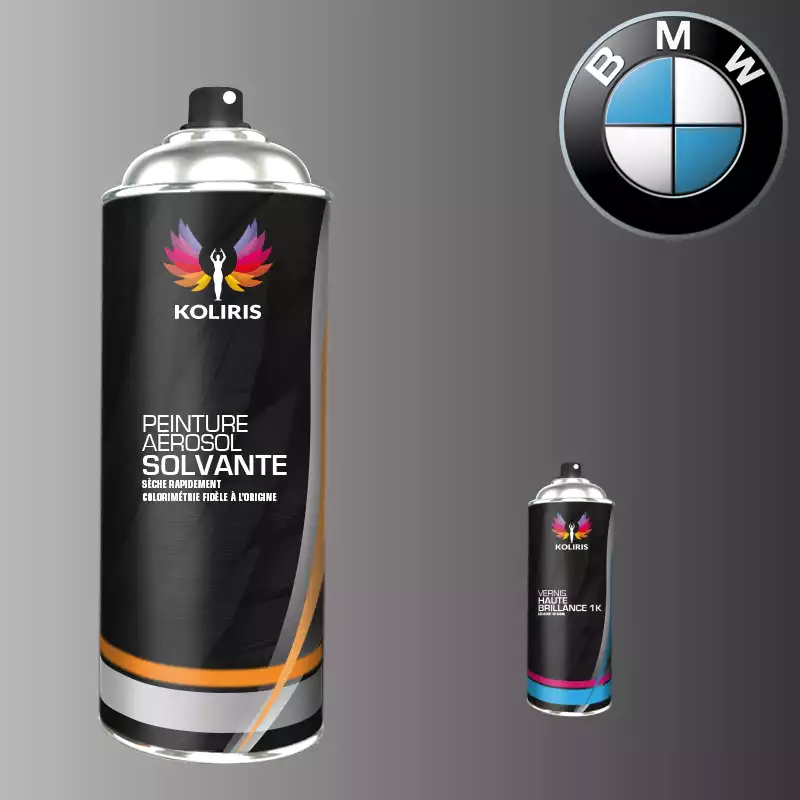 Pack 2 aérosols peinture voiture solvant Bmw 400ml