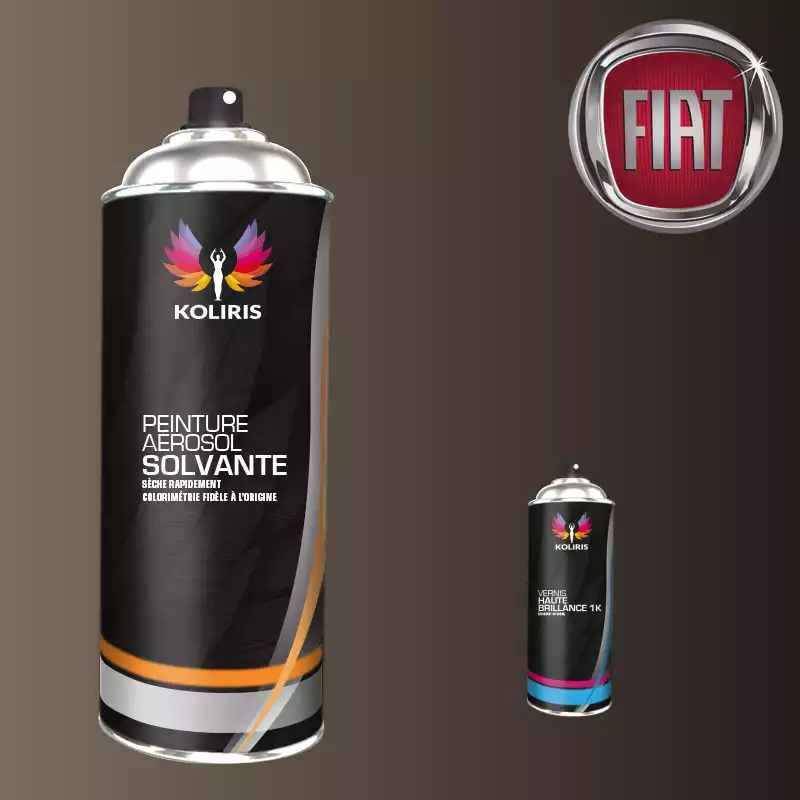 Pack 2 aérosols peinture voiture solvant Fiat 400ml