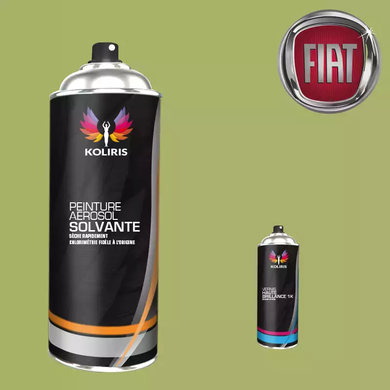 Pack 2 aérosols peinture voiture solvant Fiat 400ml