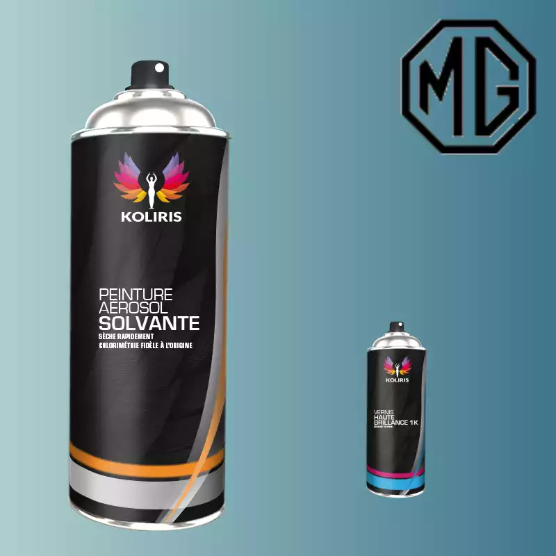 Pack 2 aérosols peinture voiture solvant Mg 400ml