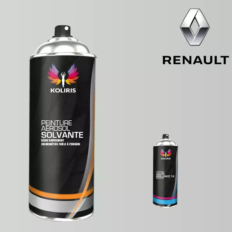 Pack 2 aérosols peinture voiture solvant Renault 400ml