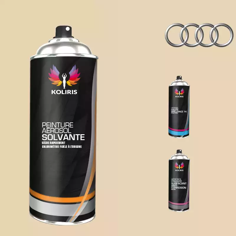 Pack 3 aérosols peinture voiture solvant Audi 400ml