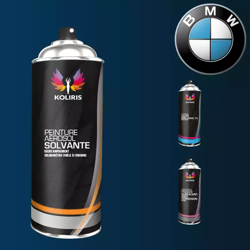 Pack 3 aérosols peinture voiture solvant Bmw 400ml