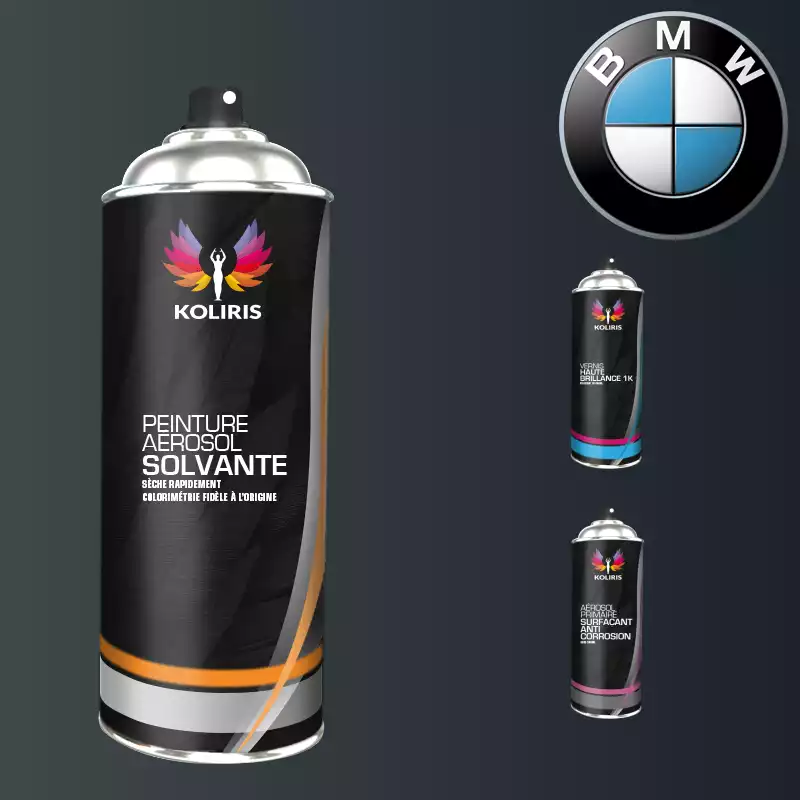 Pack 3 aérosols peinture voiture solvant Bmw 400ml