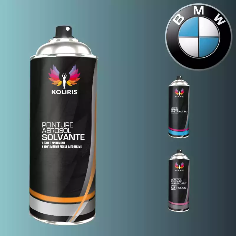 Pack 3 aérosols peinture voiture solvant Bmw 400ml