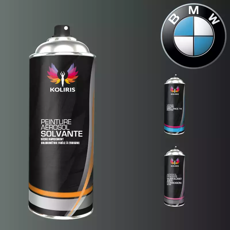 Pack 3 aérosols peinture voiture solvant Bmw 400ml