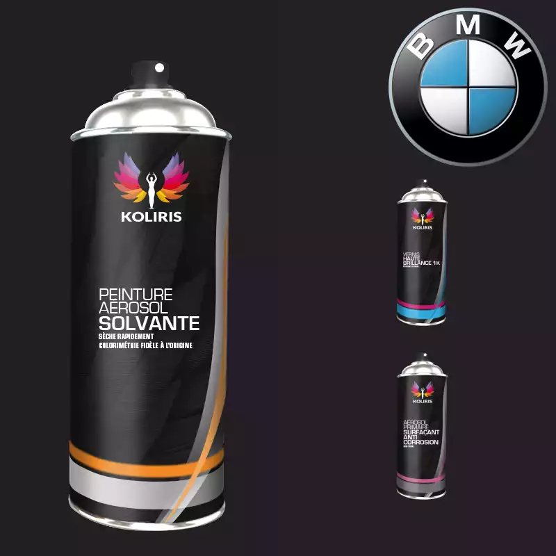 Pack 3 aérosols peinture voiture solvant Bmw 400ml