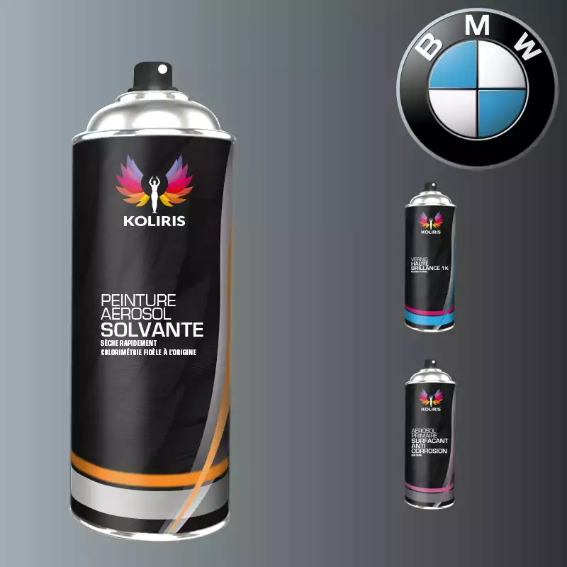 Pack 3 aérosols peinture voiture solvant Bmw 400ml