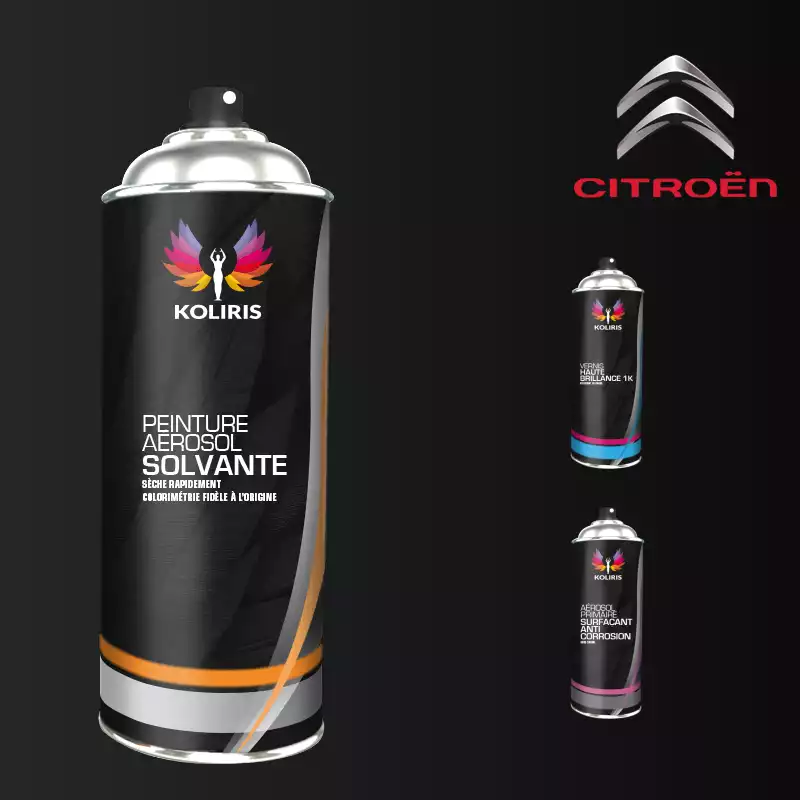 Pack 3 aérosols peinture voiture solvant Citroën 400ml