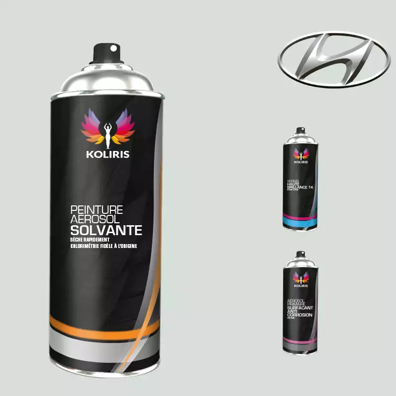 Peinture aérosol HYUNDAI Low Warm Grey Met 1998-2004 (Code NH) main image 0