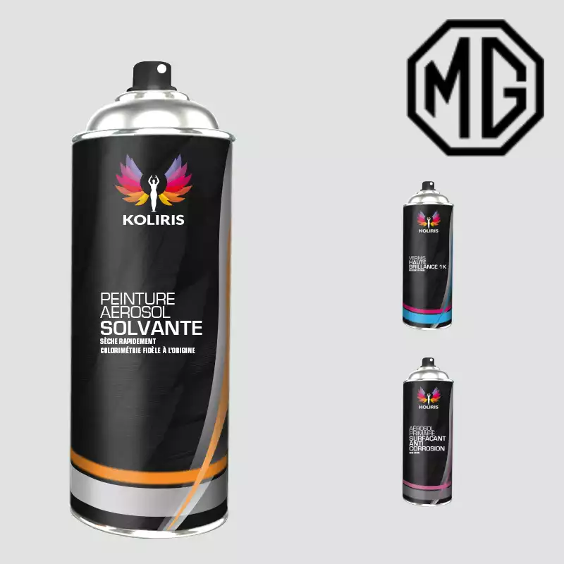 Pack 3 aérosols peinture voiture solvant Mg 400ml