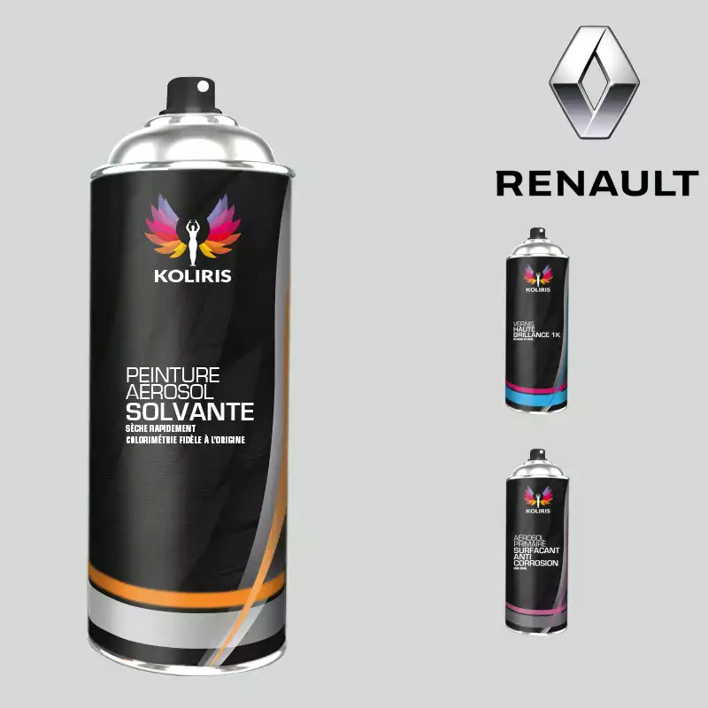 Pack 3 aérosols peinture voiture solvant Renault 400ml
