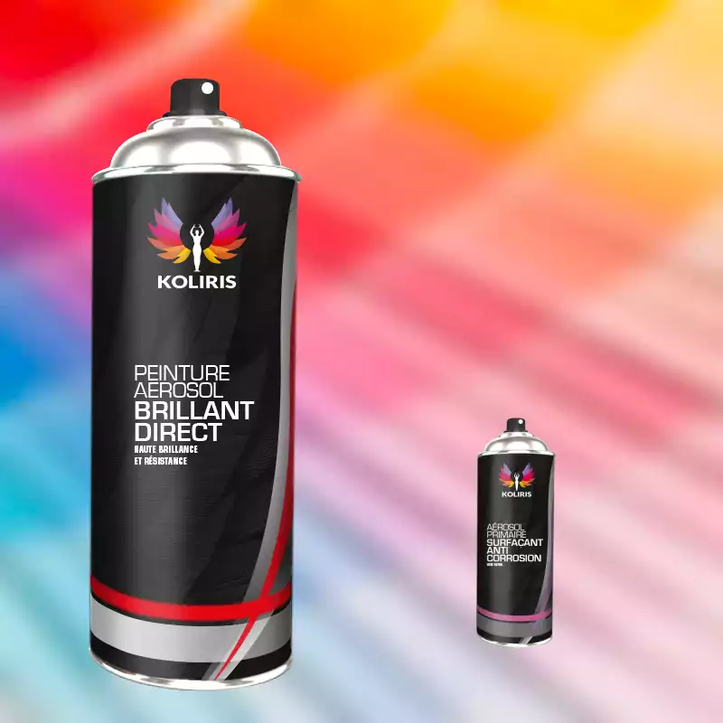 Pack 2 aérosols peinture utilitaire 1K brillant Rvi 400ml