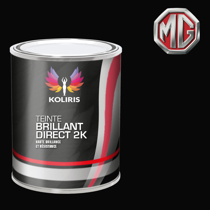 Peinture voiture brillant direct Mg - Carenciel.pro