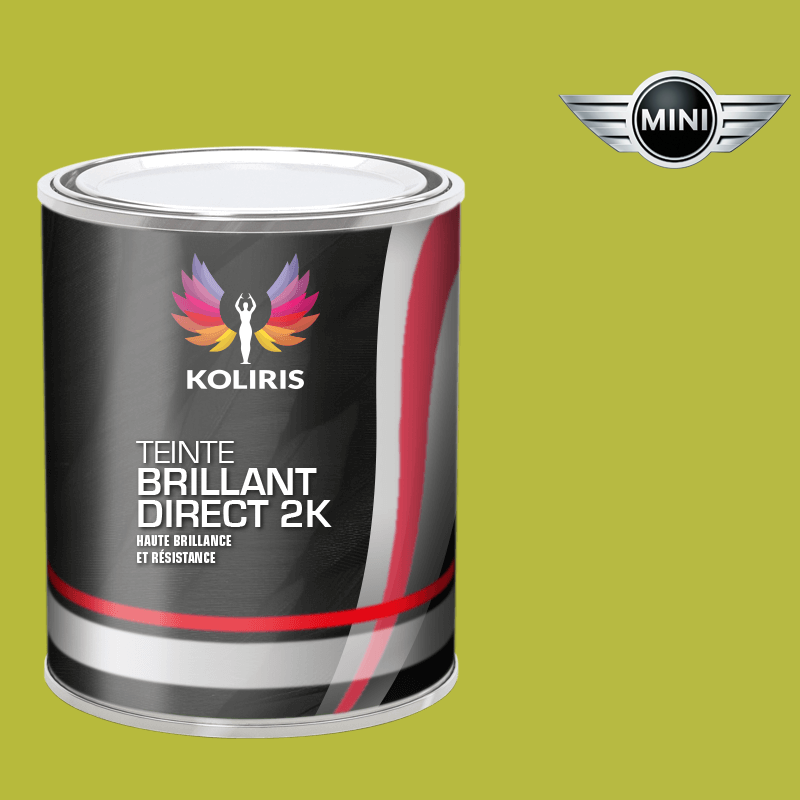 Peinture voiture brillant direct Mini - Koliris