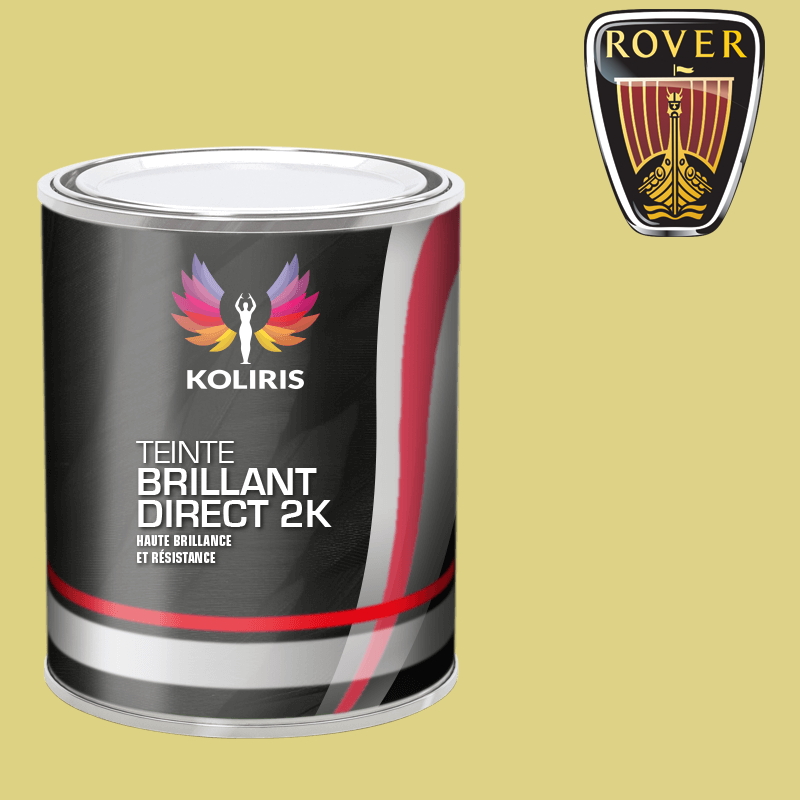 Peinture voiture brillant direct VOC420 Rover - carenciel.pro