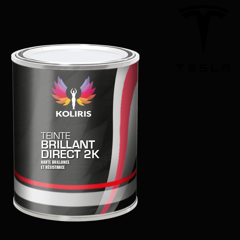 Peinture voiture brillant direct Tesla - Koliris