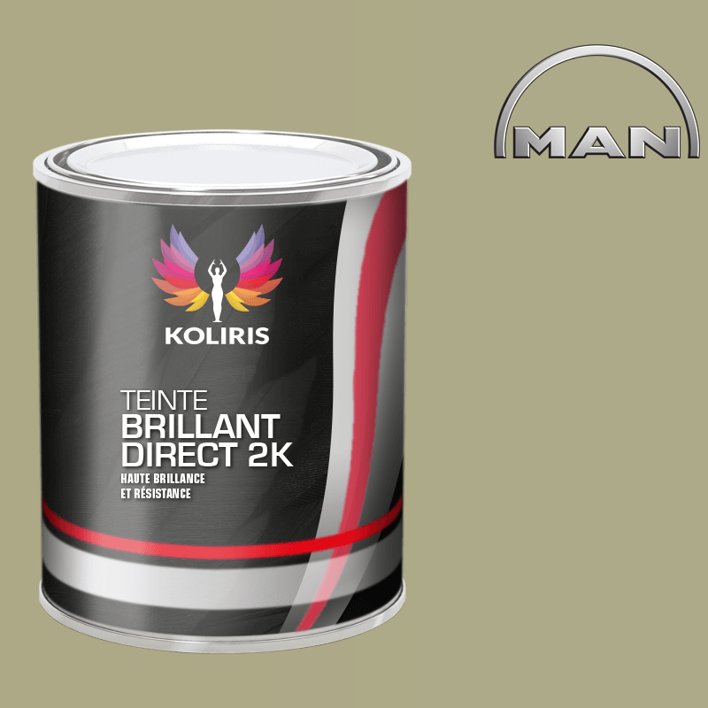 Peinture utilitaire Man - Koliris