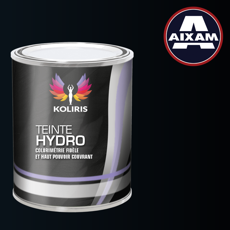 Peinture voiture hydro Aixam - Koliris