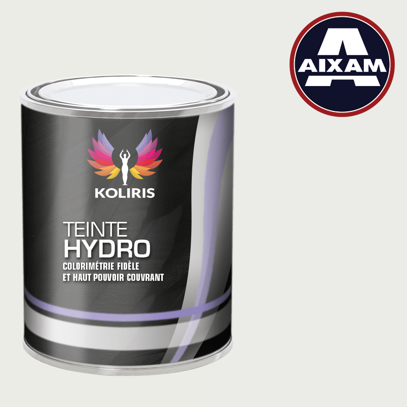 Peinture voiture hydro Aixam - Koliris