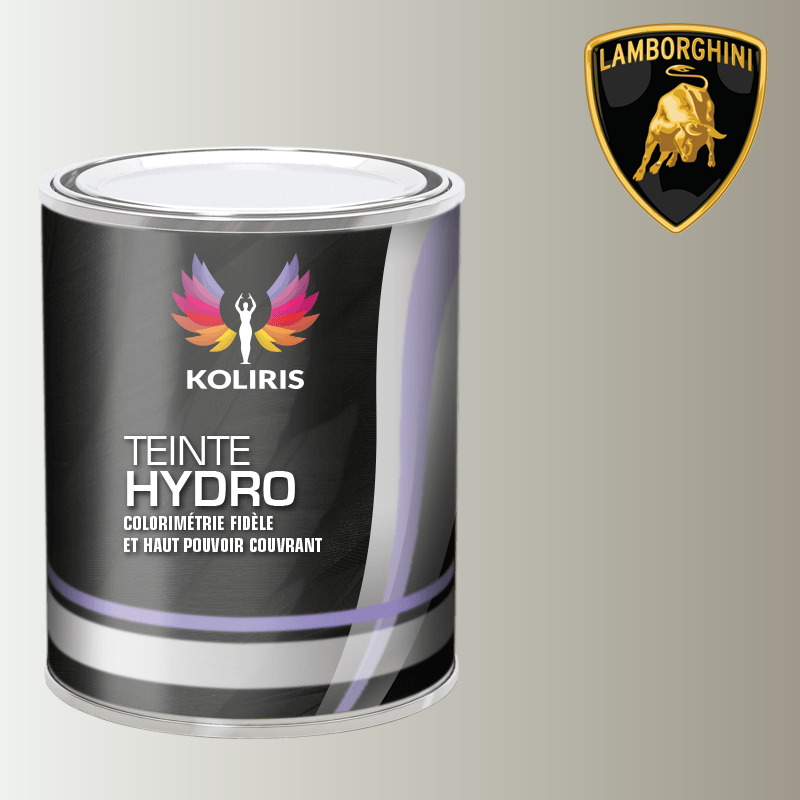 Peinture voiture hydro Lamborghini - Koliris