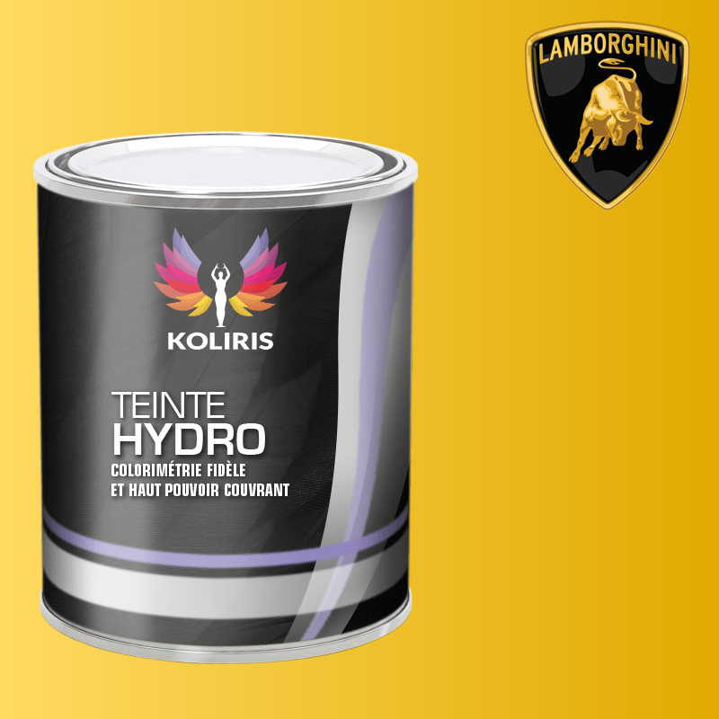 Peinture voiture hydro Lamborghini - Koliris