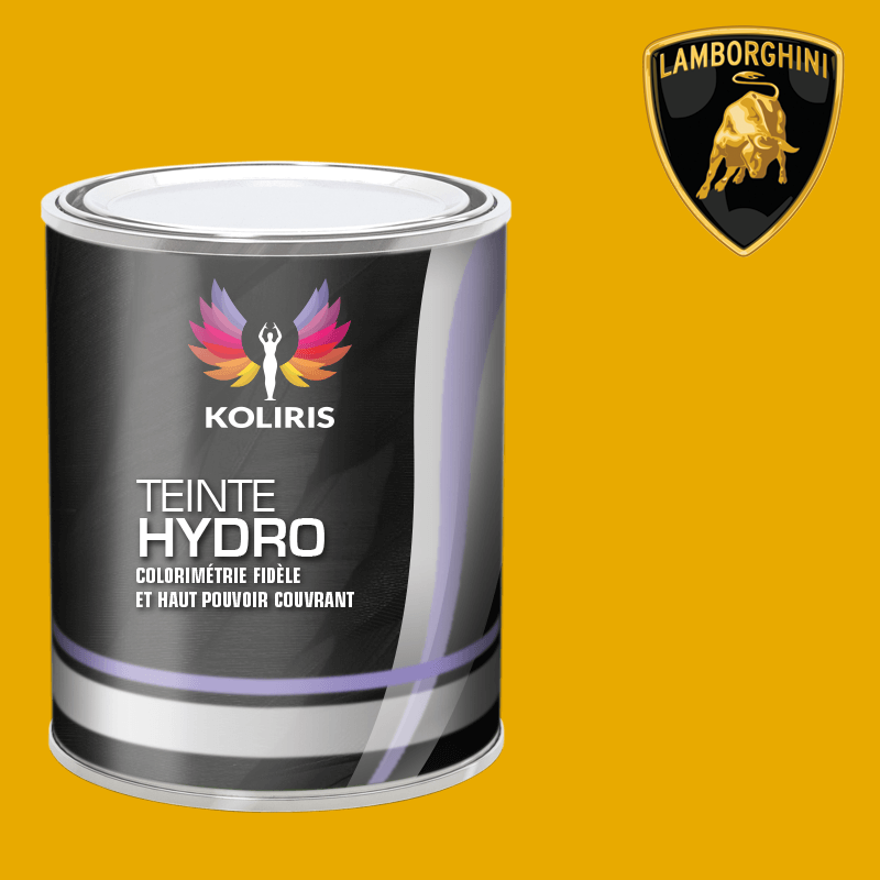 Peinture voiture hydro Lamborghini - Koliris