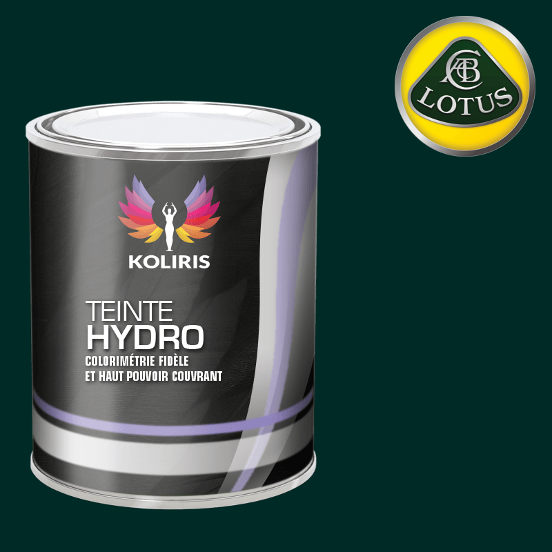Peinture voiture hydro Lotus - Koliris