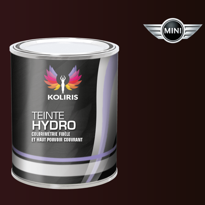 Peinture voiture hydro Mini - Koliris