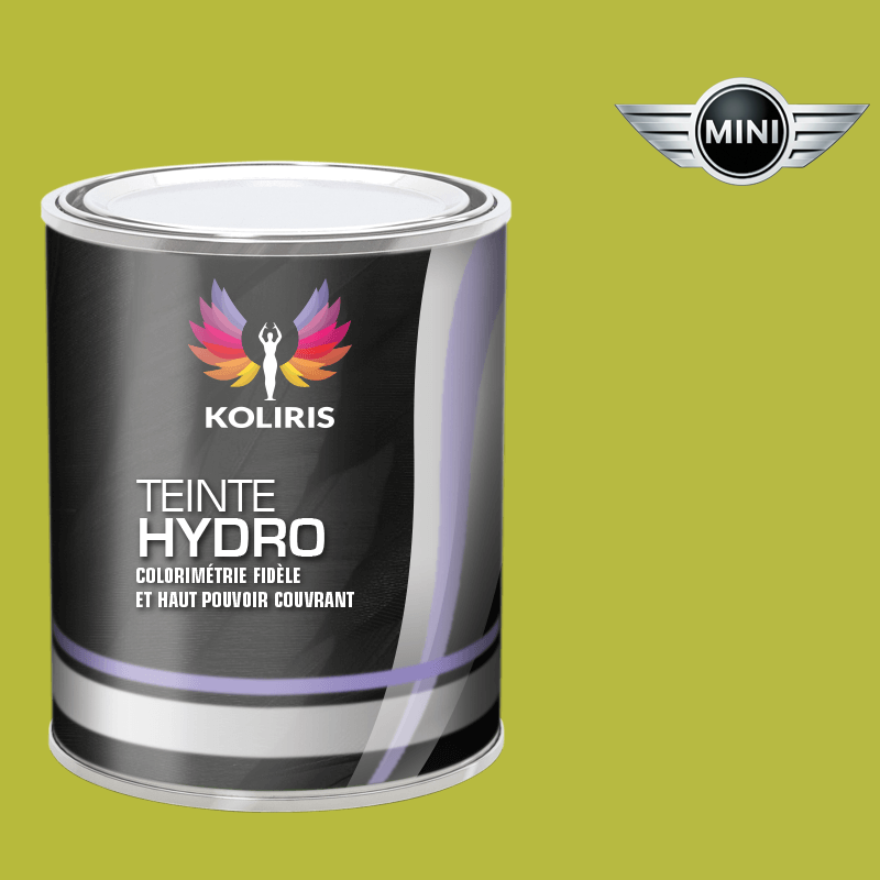Peinture voiture hydro Mini - Koliris