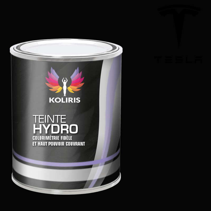 Peinture voiture hydro Tesla - Koliris