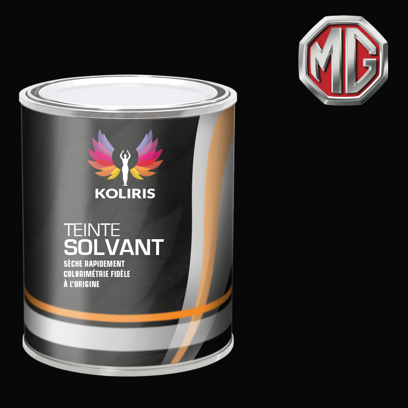 Peinture voiture solvant Mg - Koliris