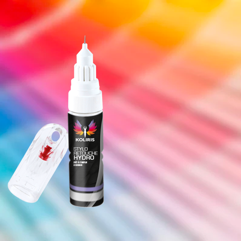 Stylo retouche peinture voiture Renault 20ml
